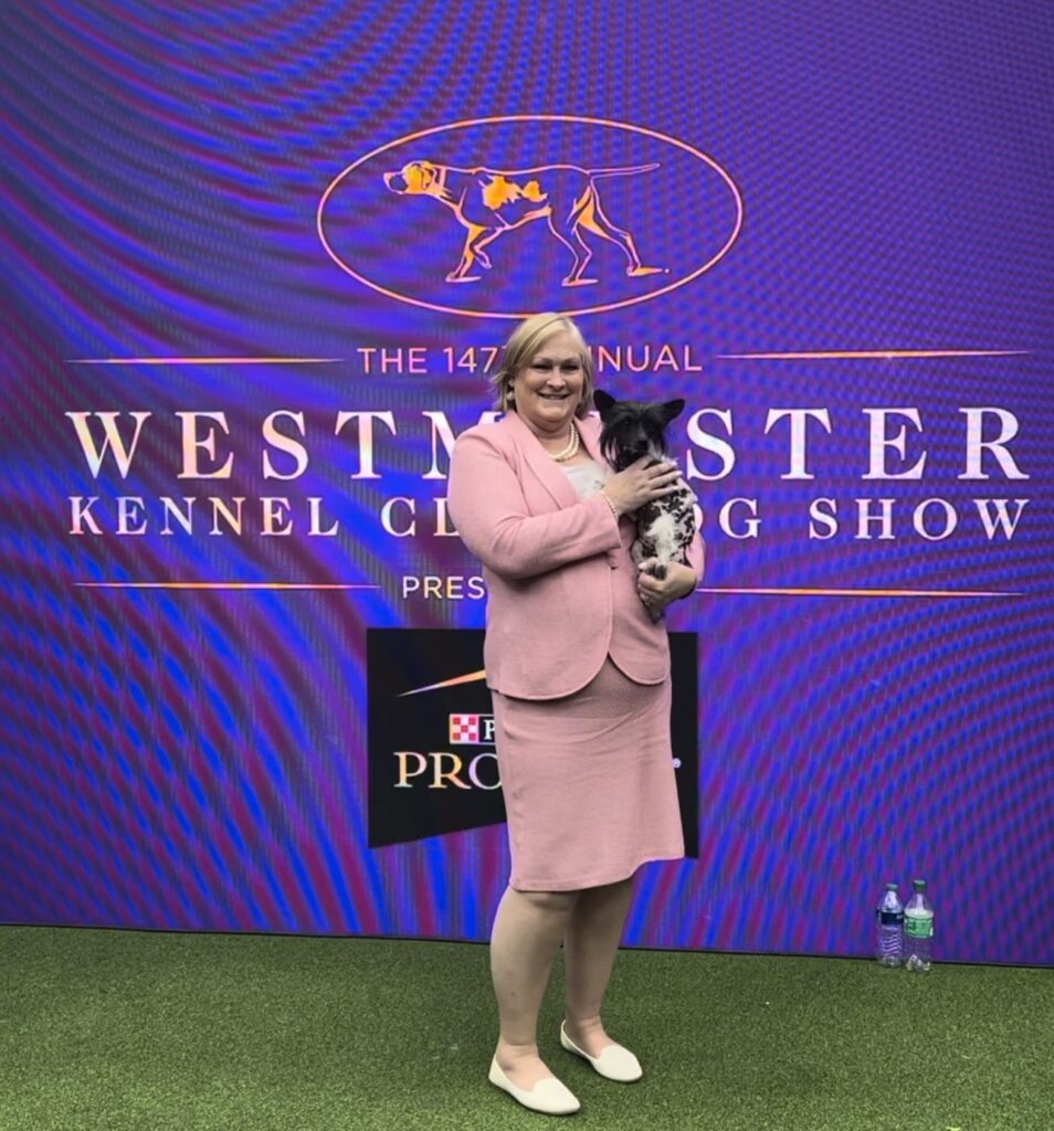 4e485e05 5a06 4e97 a7fb 6b6dd3ea2748