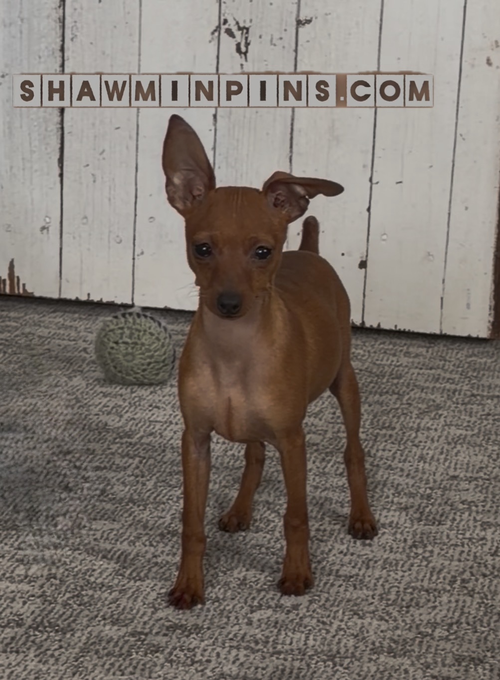 299ed638 6ca8 4329 bcfe 8f0deb26c9d9