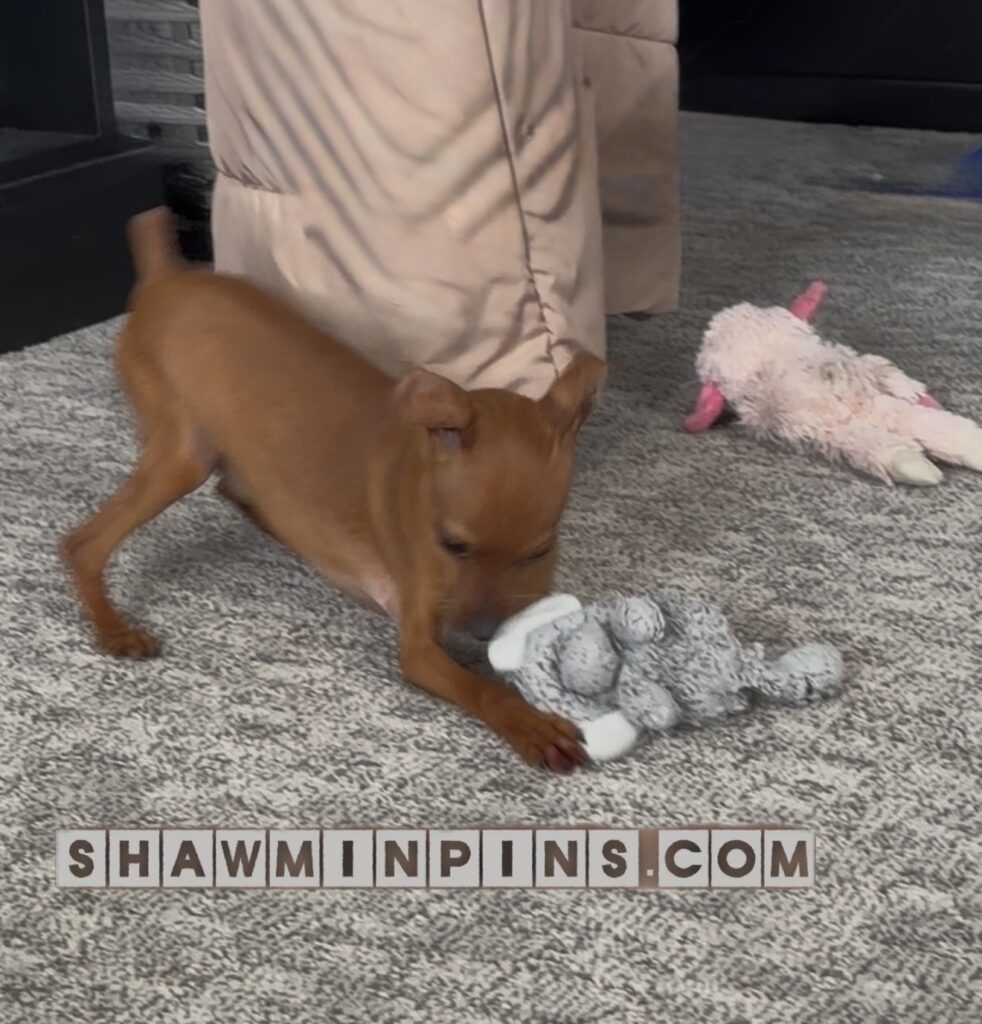 5e9e04c2 4a36 4769 bc9f 08354cc2ede4