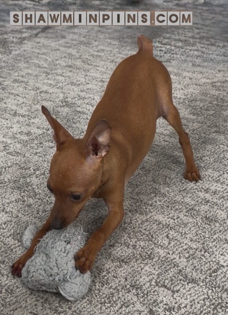 6ba58302 6bf1 471b b3c3 8e798013482f