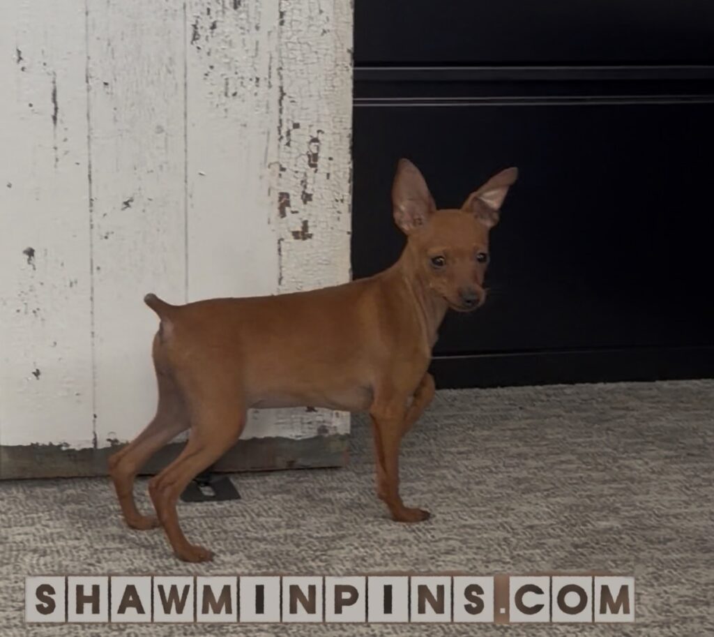 f4470d61 20c1 4930 b88a b5e24bdb9572