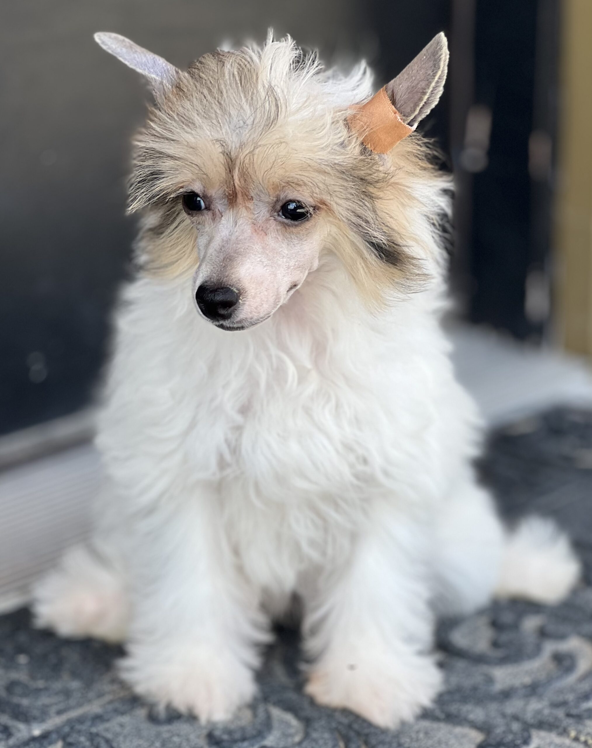 f73bb535 db25 465e 82e8 2feea525d1e2