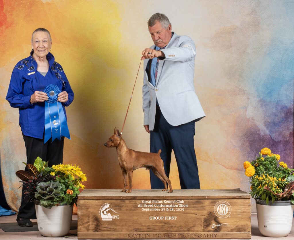 100fb037 dc2e 4cf3 88c6 f3c2f7b343b8