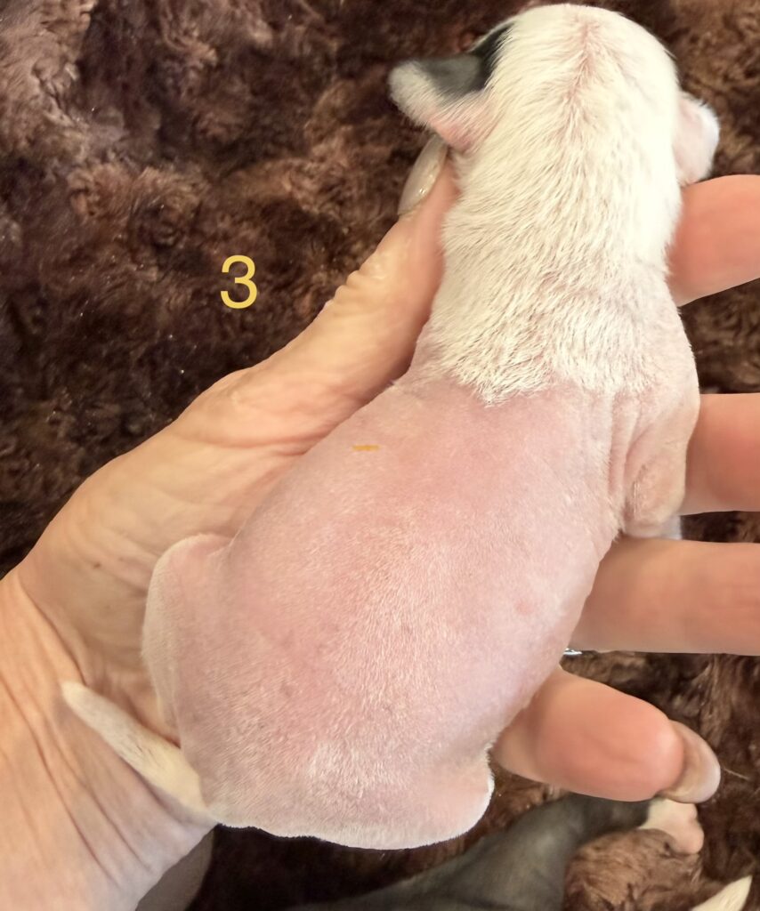 4997c846 699f 42b3 abc2 c63cbb07c464