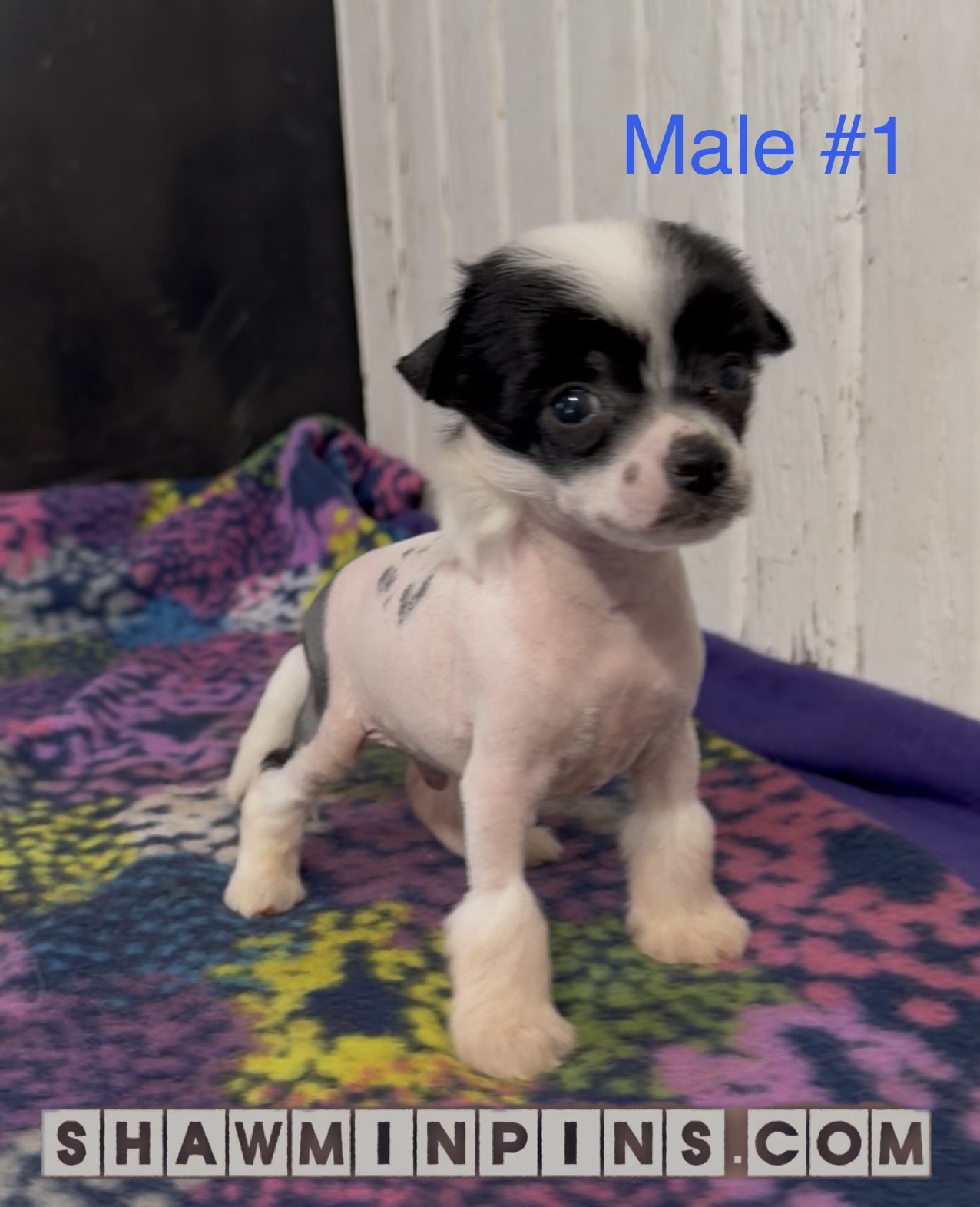 686b9663 0ee3 44ac a56c b4389dda7720