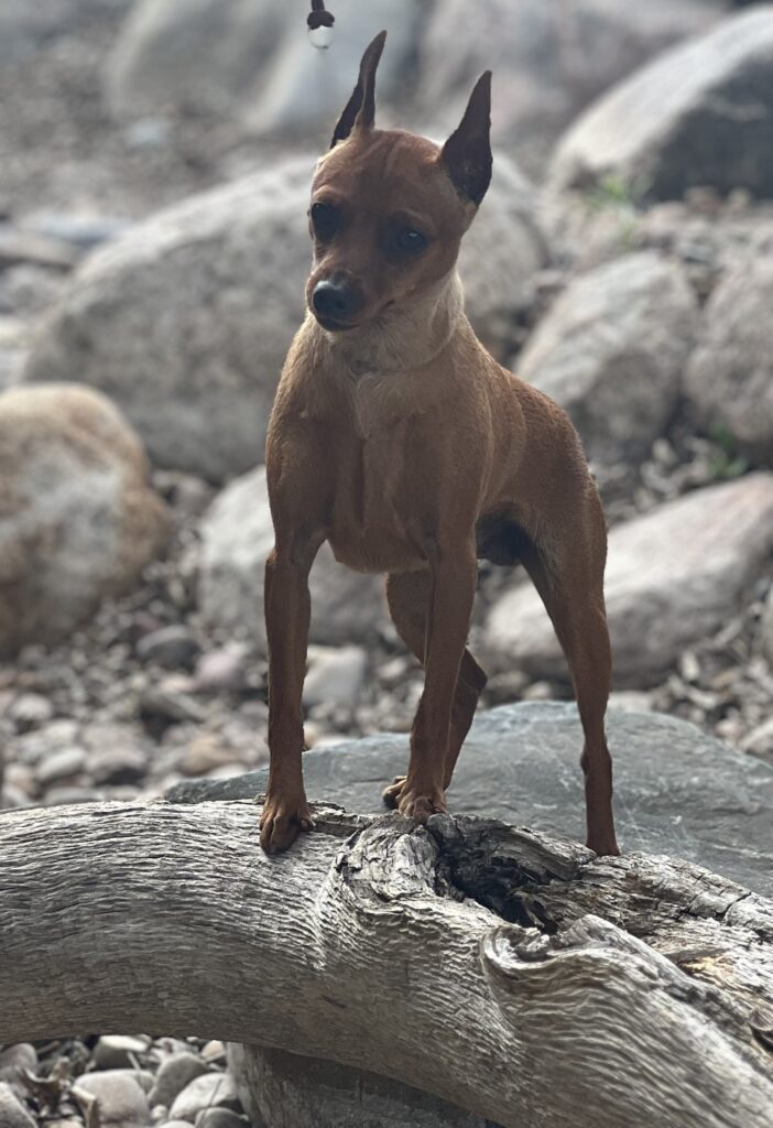 76ea2bd5 6682 4907 9ddb 4ac17e170ca1