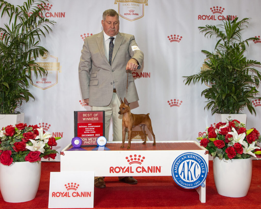 8811253f db07 4c2a 887c 424a05e64a80