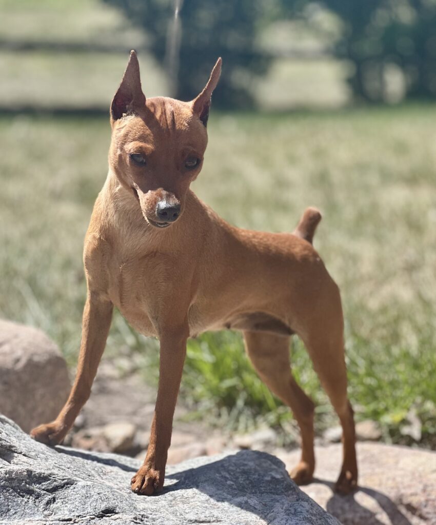 a4515fe5 1a48 4ebb 92b1 5c1fde682bae