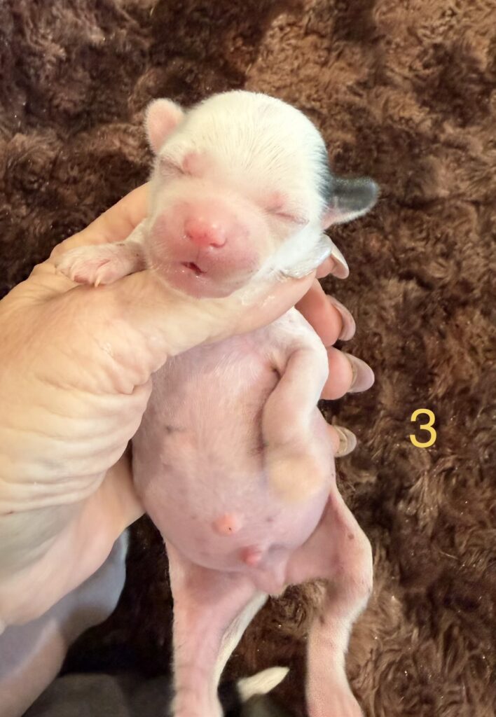 ab535dc5 04f4 46dc bf41 d93e82820edc