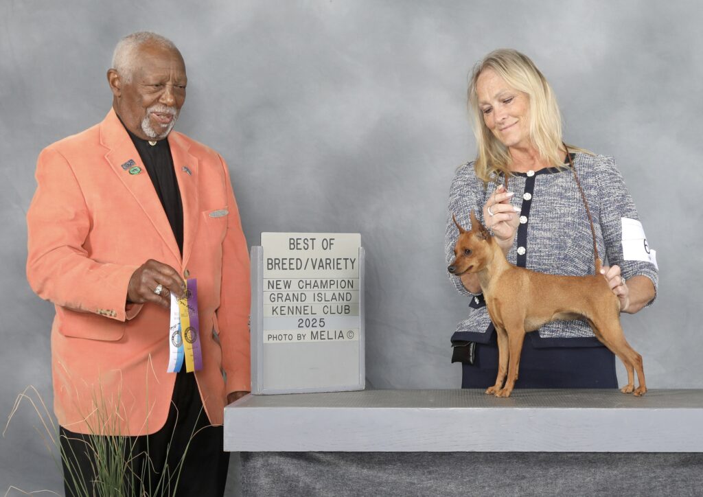 ab69a4c8 1213 42cf 93d0 2271426dcfbd