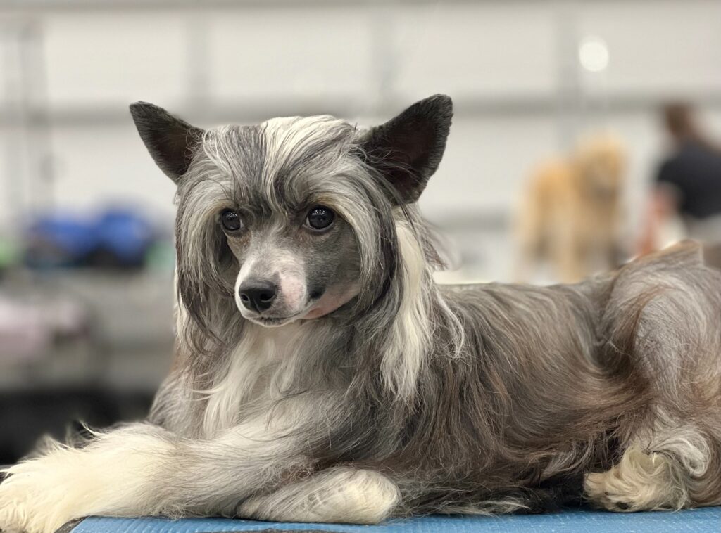 c90a508e c6dd 40da bb06 37c0aa31b365