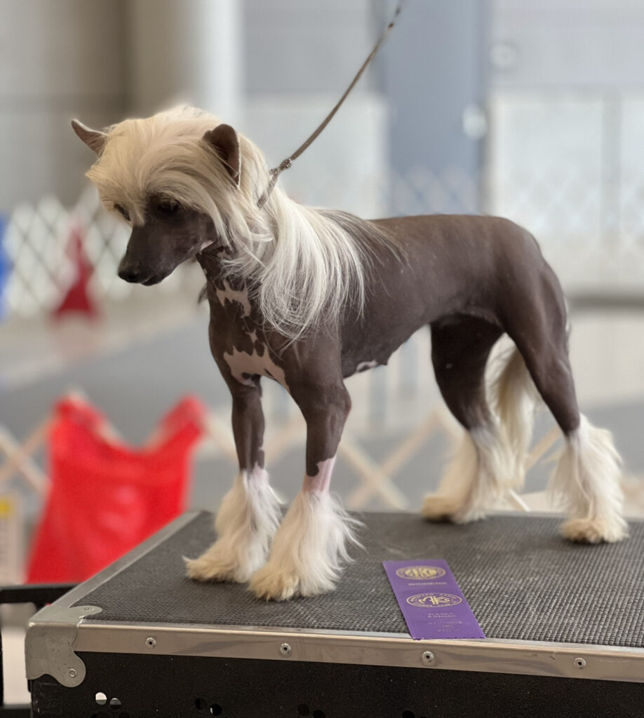 d34c3431 a440 4032 9529 d406f2fc04e0