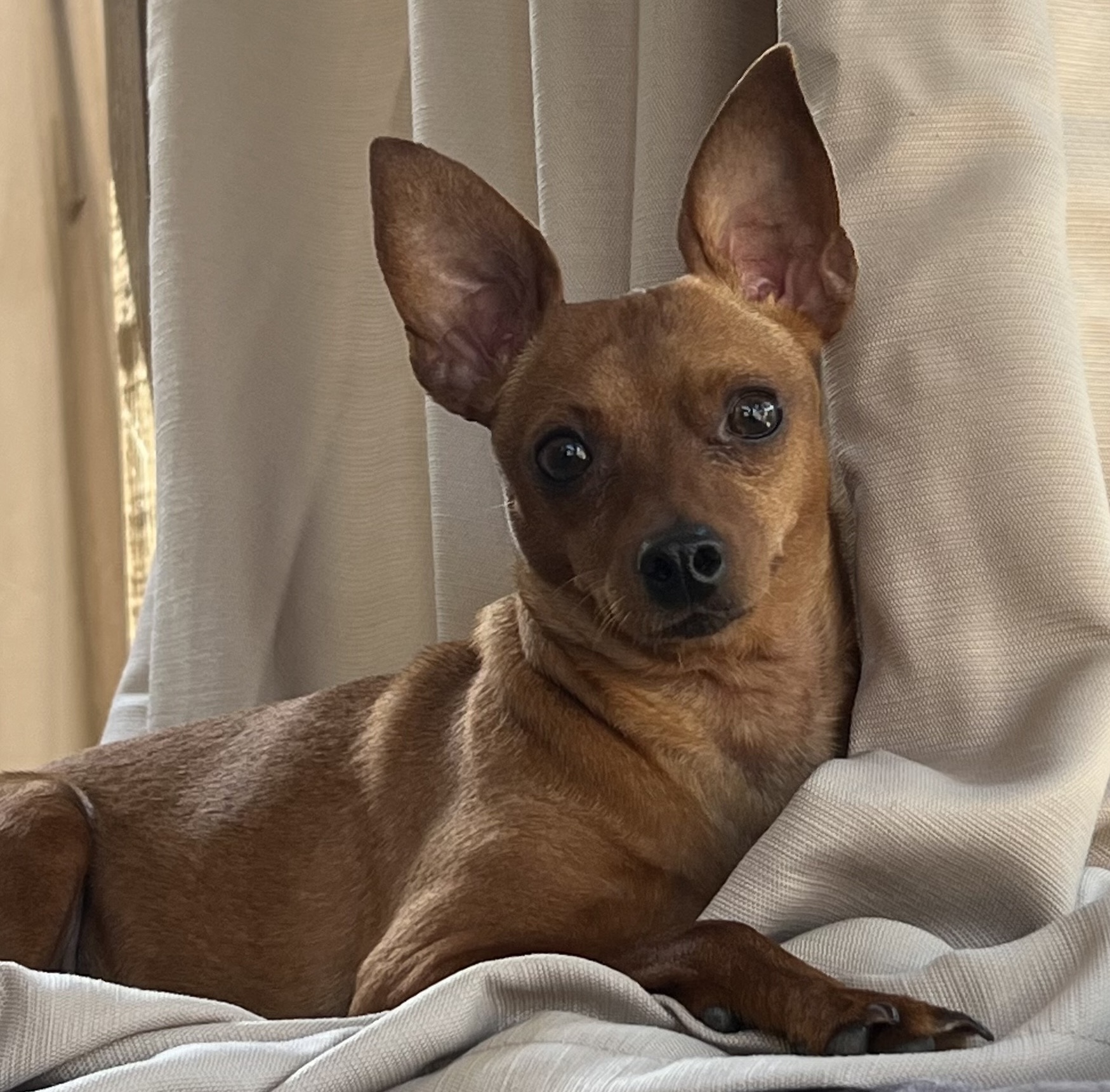 1cfd857c b897 4ba0 b030 97824ffbf6e9