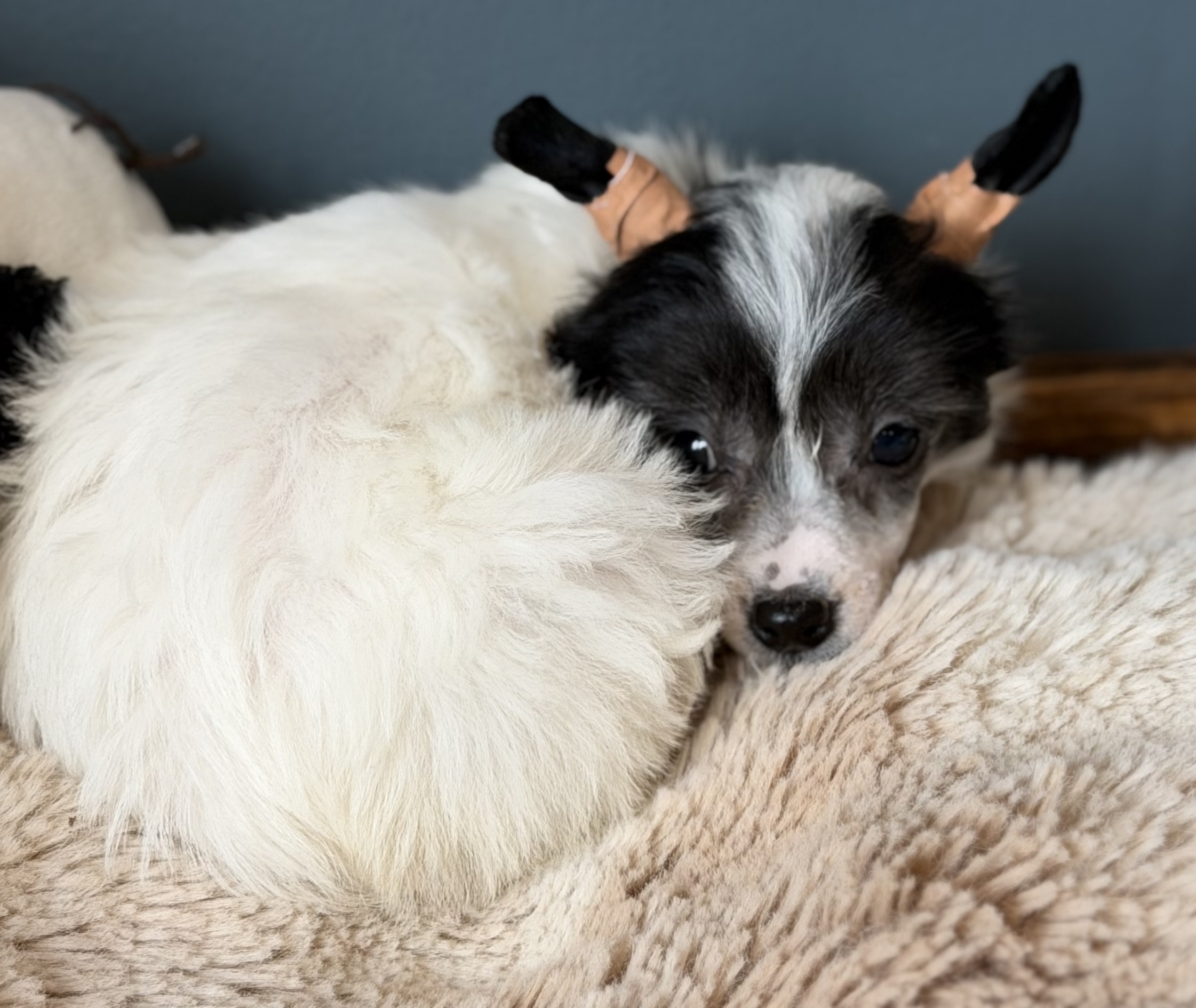 3034315d e313 408b b1ca 051d273efce3