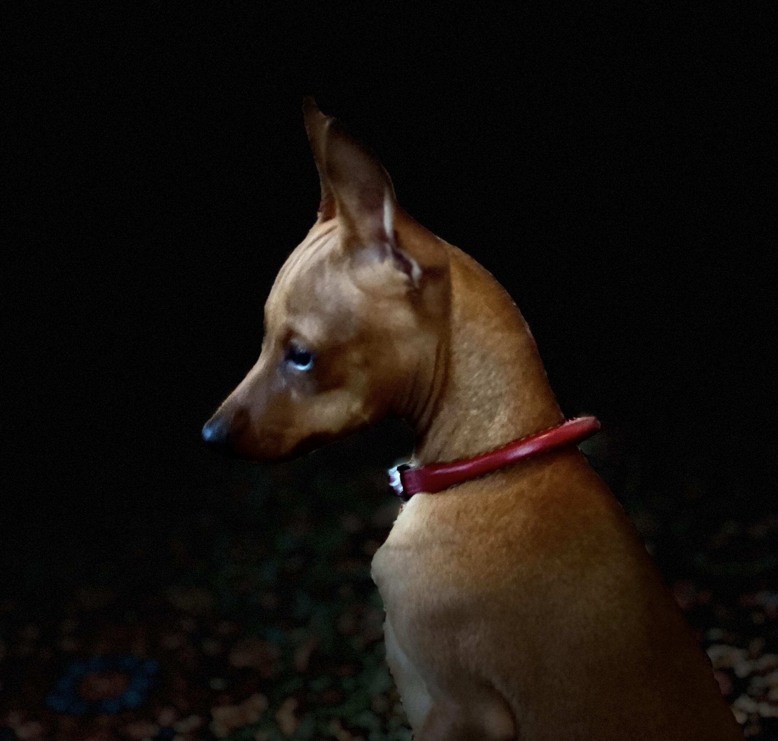 4bd587e1 bc9e 44a1 bb0d 37add79f44d4