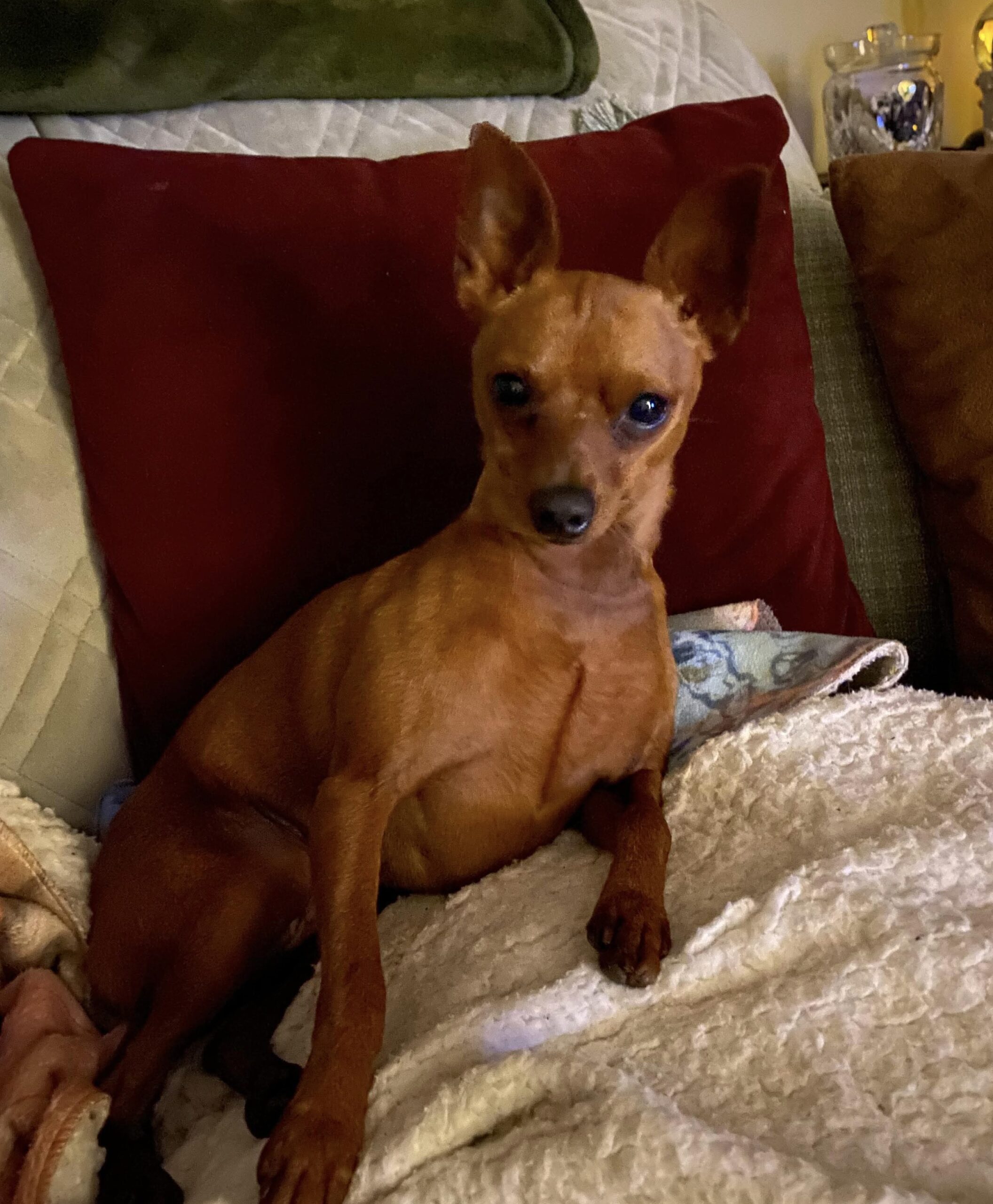 71726cc5 aac8 4535 a24e 3c43ae2f51e6