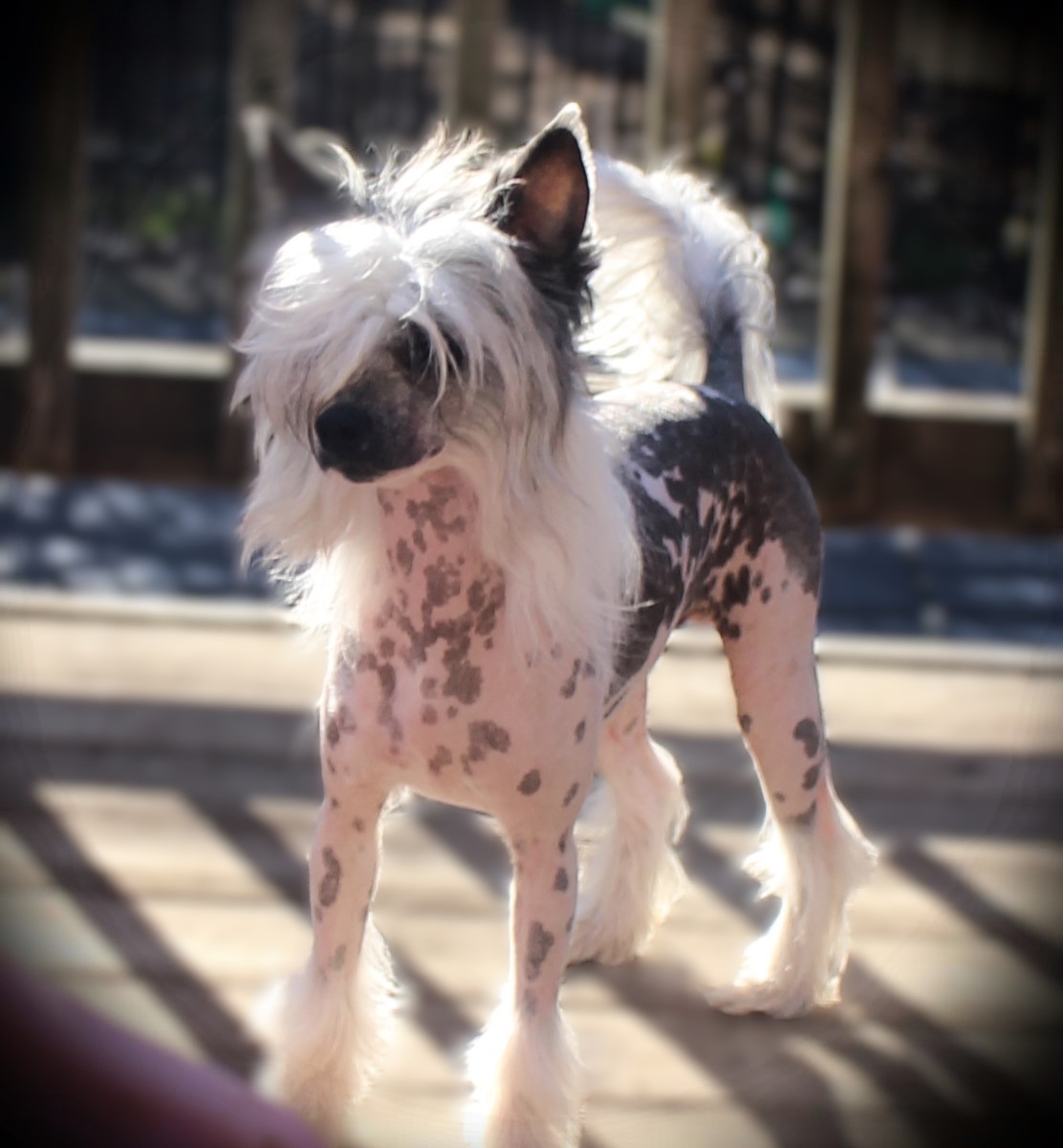 79972562 b1cd 4053 a9da 463c3d0d6071