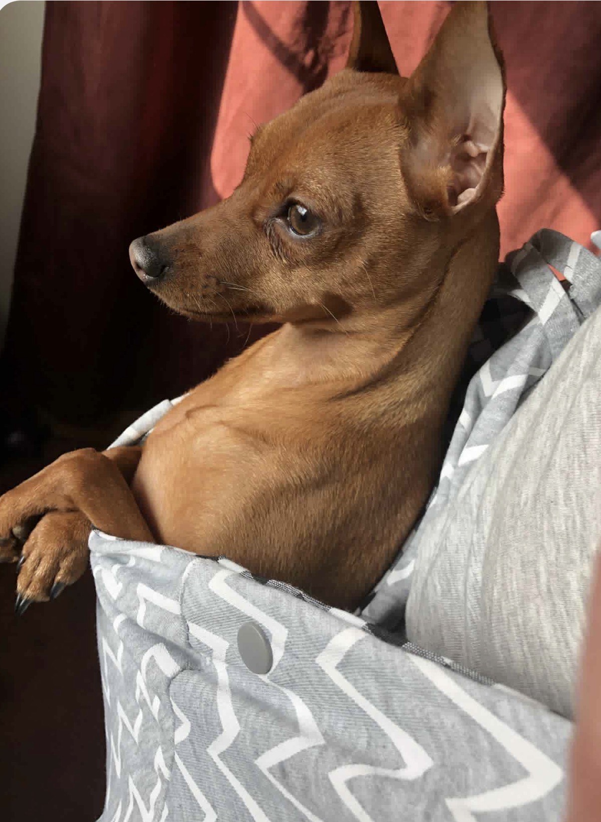 b0ff3555 d844 43b5 86b5 9fc6c2abab15