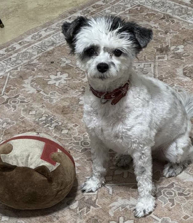 ba49e6ba 032e 4b49 92fb 9d93e35108c2