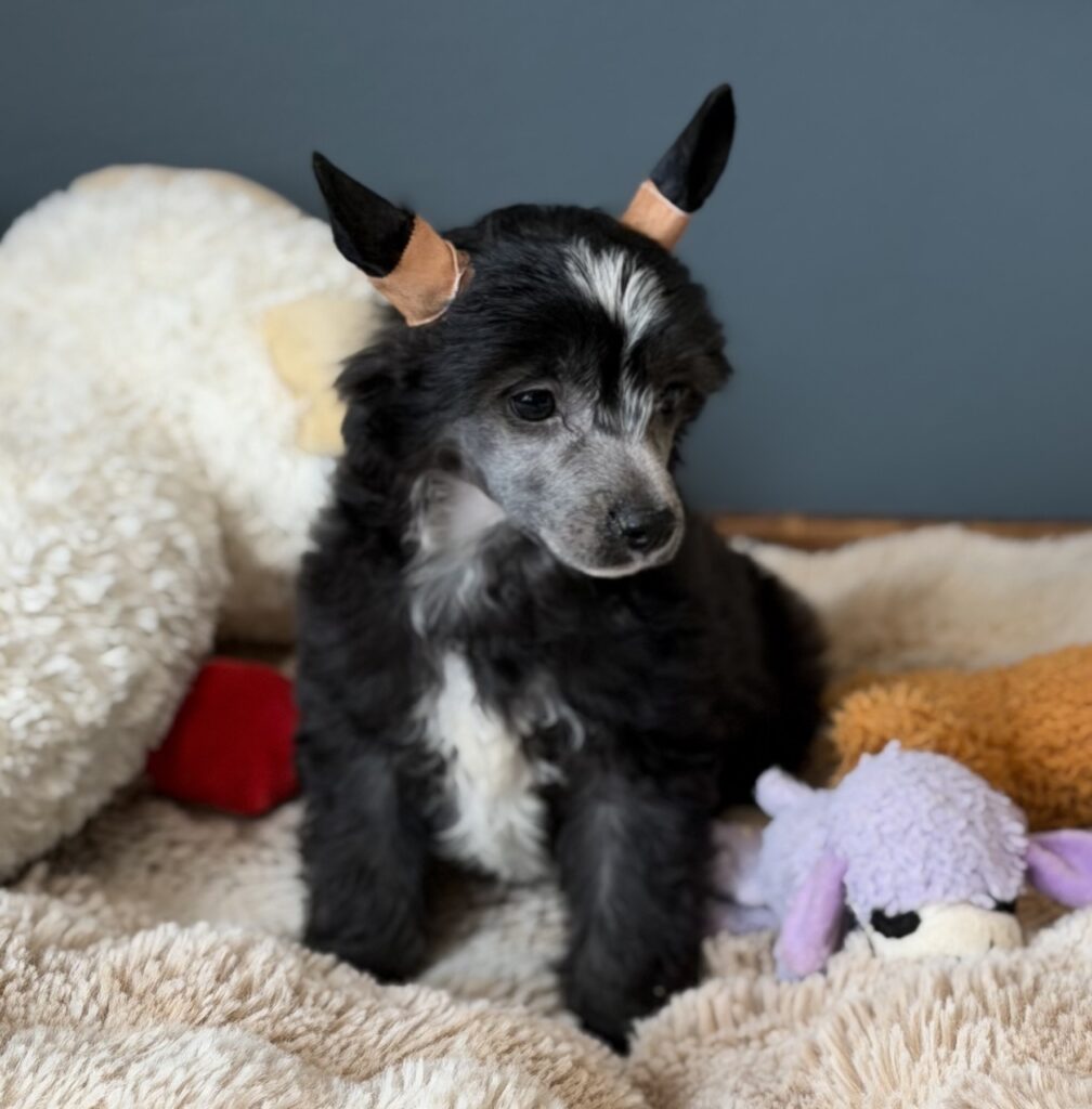 bcb6d7a2 e41f 44c6 997c e5a85bd3925d