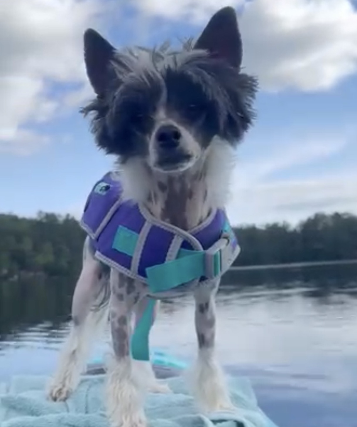 c0f09e4b b979 44f3 9d69 cc19bf0a61bc