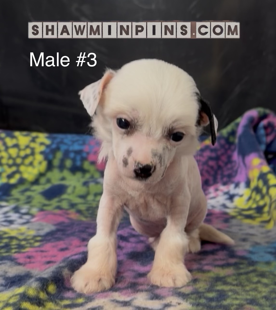 5eb601f6 931d 458e 836f 48ed73e30c7f